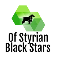 App-Icon